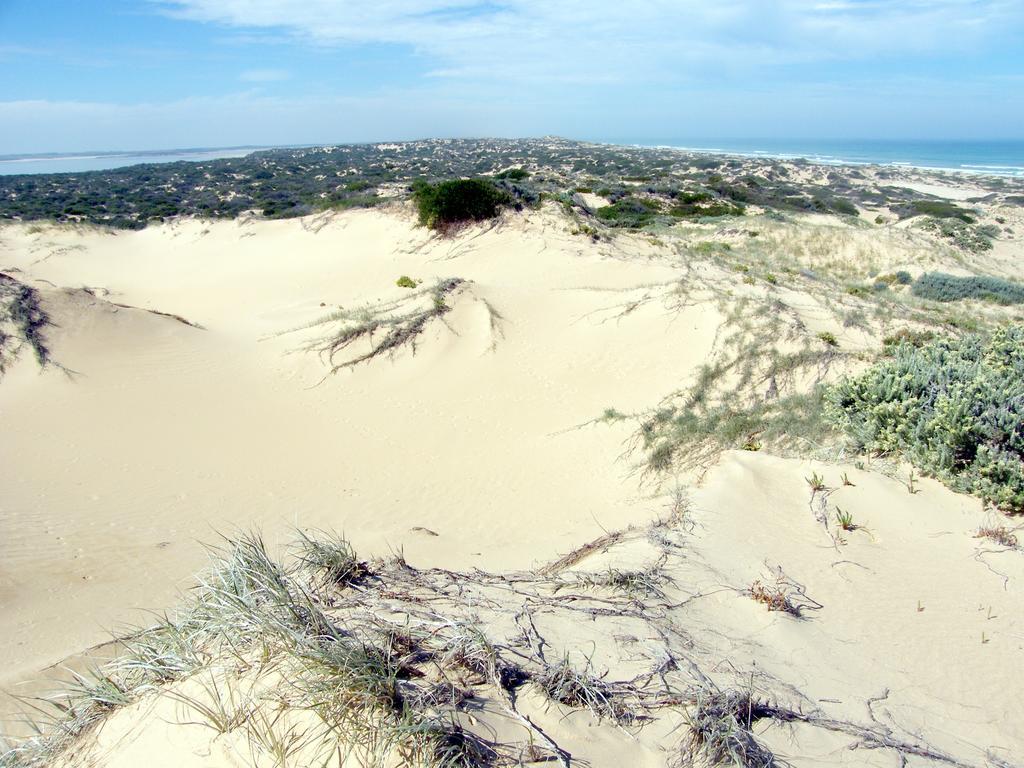 Coorong Waterfront Retreat Villa Meningie Ngoại thất bức ảnh